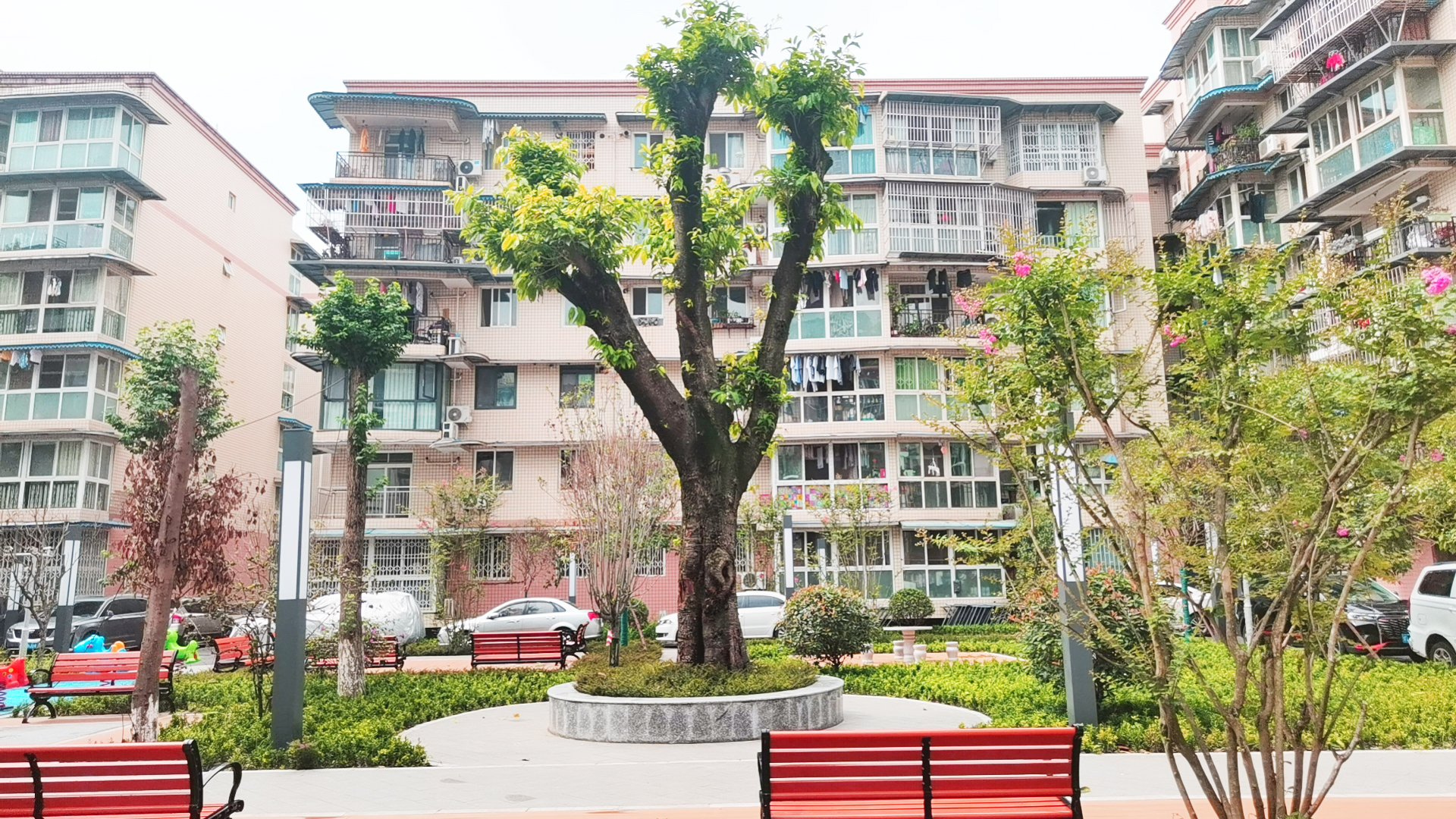 应急处置：用速度彰显专业