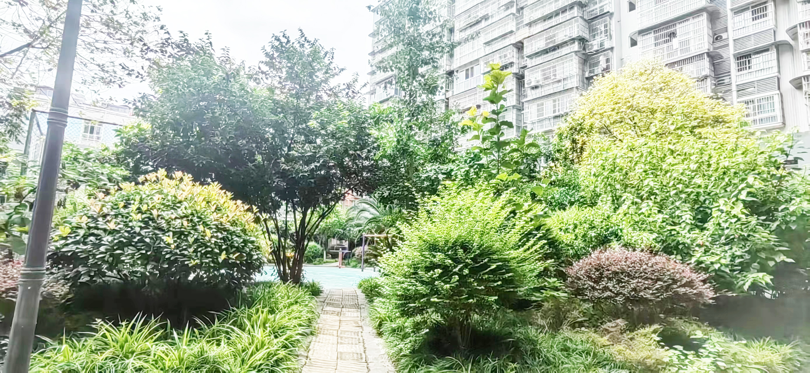 街道公益：激活社区治理末梢，绘就民生幸福图景